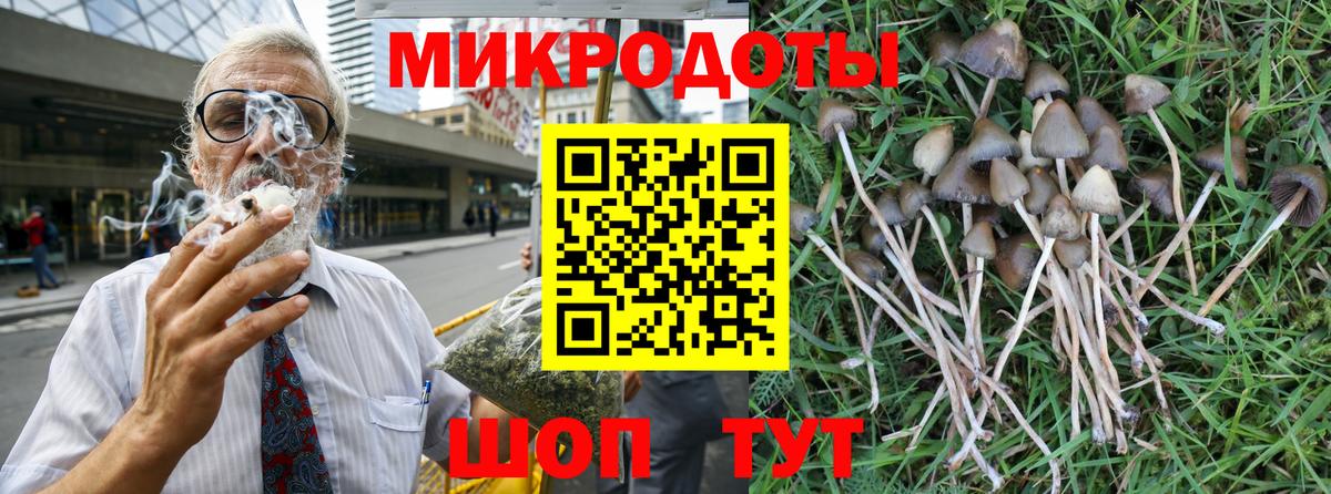 Псилоцибиновые грибы MAGIC MUSHROOMS  Вход с VPN  Нарткала 