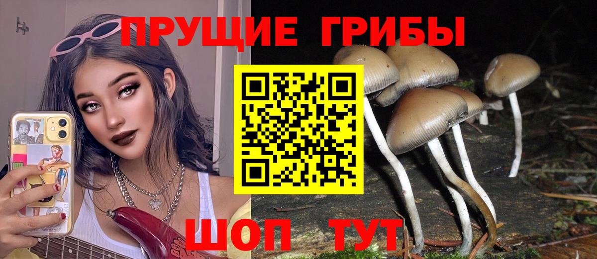 Псилоцибиновые грибы Cubensis Нарткала